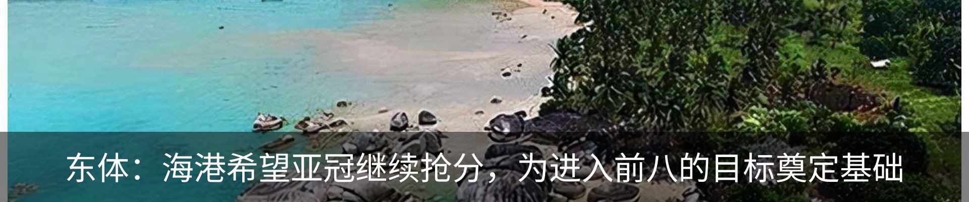 新闻动态